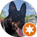 J R profile picture